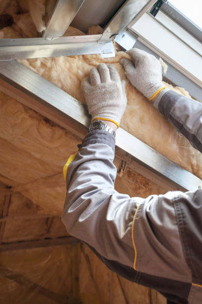 Types of Insulation We Offer in Geneva, AL